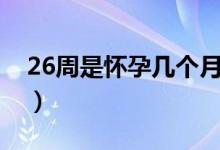 26周是怀孕几个月零多少天（26周是几个月）