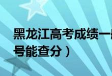 黑龙江高考成绩一般什么时候出（2022年几号能查分）