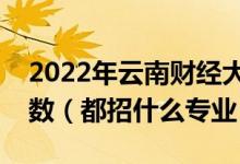 2022年云南财经大学各省招生计划及招生人数（都招什么专业）