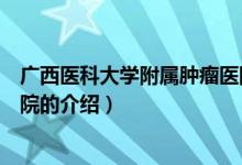 广西医科大学附属肿瘤医院（关于广西医科大学附属肿瘤医院的介绍）