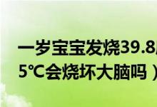 一岁宝宝发烧39.8度会烧坏大脑吗（发烧39.5℃会烧坏大脑吗）