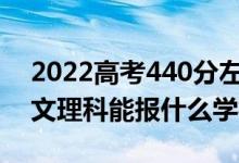 2022高考440分左右能上哪些大学（新高考文理科能报什么学校）