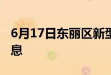 6月17日东丽区新型冠状病毒肺炎疫情最新消息