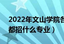 2022年文山学院各省招生计划及招生人数（都招什么专业）