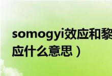 somogyi效应和黎明现象区别（somogyi效应什么意思）