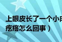 上眼皮长了一个小肉疙瘩（上眼皮长了一个肉疙瘩怎么回事）