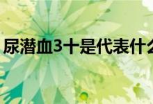 尿潜血3十是代表什么（尿潜血3十是什么病）