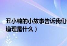 丑小鸭的小故事告诉我们什么道理（丑小鸭故事告诉我们的道理是什么）