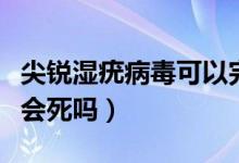 尖锐湿疣病毒可以完全消灭吗（得了尖锐湿疣会死吗）