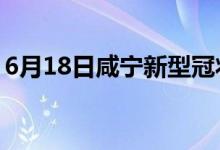 6月18日咸宁新型冠状病毒肺炎疫情最新消息