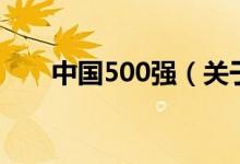 中国500强（关于中国500强的介绍）