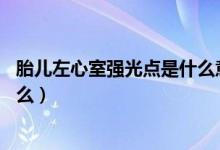 胎儿左心室强光点是什么意思28周（胎儿左心室强光点是什么）