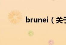 brunei（关于brunei的介绍）