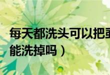 每天都洗头可以把虱子洗掉吗（天天洗头虱子能洗掉吗）