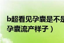 b超看见孕囊是不是就可以流产了（一个月的孕囊流产样子）