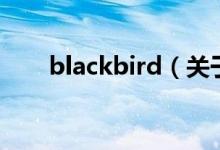 blackbird（关于blackbird的介绍）