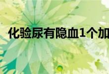 化验尿有隐血1个加号（尿隐血1十严重吗）