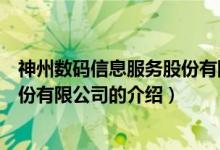 神州数码信息服务股份有限公司（关于神州数码信息服务股份有限公司的介绍）