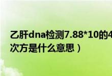 乙肝dna检测7.88*10的4次方严重吗（乙肝dna定量10的7次方是什么意思）