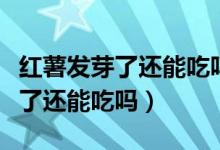 红薯发芽了还能吃吗吃了会怎么样（红薯发芽了还能吃吗）