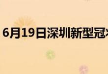 6月19日深圳新型冠状病毒肺炎疫情最新消息