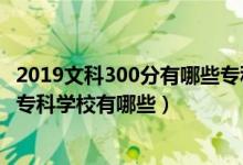 2019文科300分有哪些专科学校（2022高考文科300分公办专科学校有哪些）