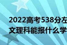 2022高考538分左右能上哪些大学（新高考文理科能报什么学校）