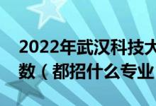 2022年武汉科技大学各省招生计划及招生人数（都招什么专业）