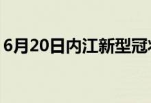 6月20日内江新型冠状病毒肺炎疫情最新消息