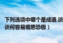 下列选项中哪个是成语,谈何容易细思恐极（下列哪个是成语谈何容易细思恐极）