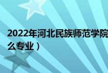 2022年河北民族师范学院各省招生计划及招生人数（都招什么专业）