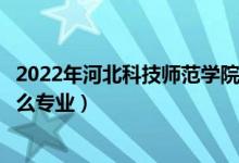 2022年河北科技师范学院各省招生计划及招生人数（都招什么专业）