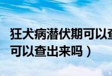 狂犬病潜伏期可以查得出来吗（狂犬病潜伏期可以查出来吗）