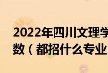 2022年四川文理学院各省招生计划及招生人数（都招什么专业）