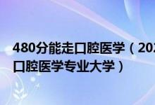 480分能走口腔医学（2022年高考460分左右适合报考哪些口腔医学专业大学）