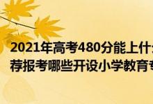 2021年高考480分能上什么学校（2022年高考480分左右推荐报考哪些开设小学教育专业的大学）