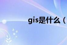 gis是什么（gis是什么意思）