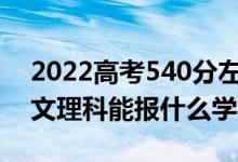 2022高考540分左右能上哪些大学（新高考文理科能报什么学校）