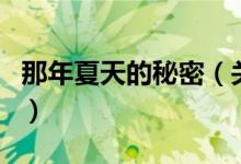 那年夏天的秘密（关于那年夏天的秘密的介绍）