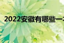 2022安徽有哪些一本大学（哪些是双一流）