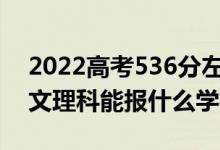 2022高考536分左右能上哪些大学（新高考文理科能报什么学校）