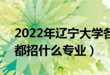 2022年辽宁大学各省招生计划及招生人数（都招什么专业）