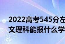 2022高考545分左右能上哪些大学（新高考文理科能报什么学校）