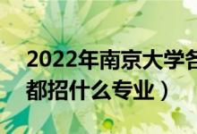 2022年南京大学各省招生计划及招生人数（都招什么专业）