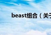 beast组合（关于beast组合的介绍）