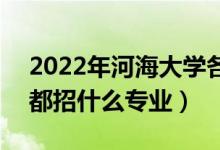 2022年河海大学各省招生计划及招生人数（都招什么专业）