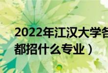 2022年江汉大学各省招生计划及招生人数（都招什么专业）