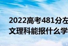 2022高考481分左右能上哪些大学（新高考文理科能报什么学校）