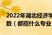 2022年湖北经济学院各省招生计划及招生人数（都招什么专业）