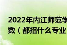 2022年内江师范学院各省招生计划及招生人数（都招什么专业）